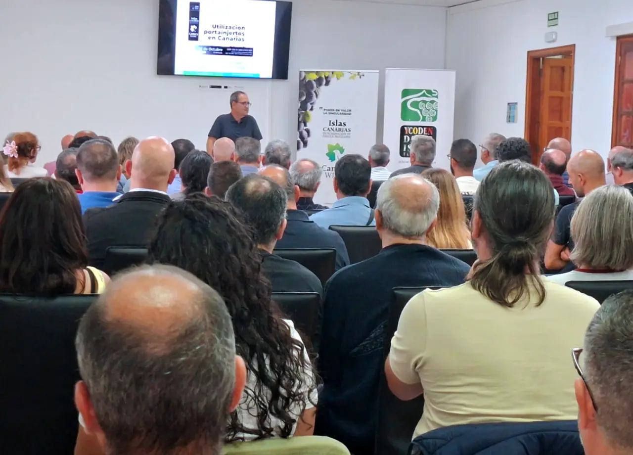 El Campus del Vino de Canarias impulsa un proyecto experimental sobre la utilización de portainjertos en el viñedo canario