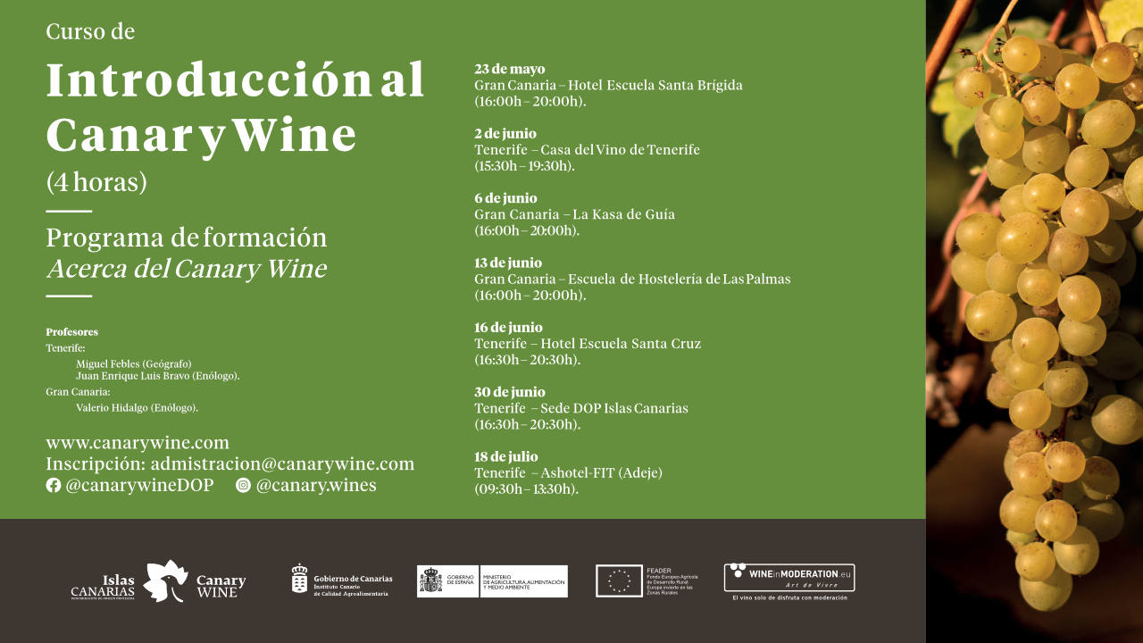 La DOP Islas Canarias presenta el curso «Introducción al Canary Wine»