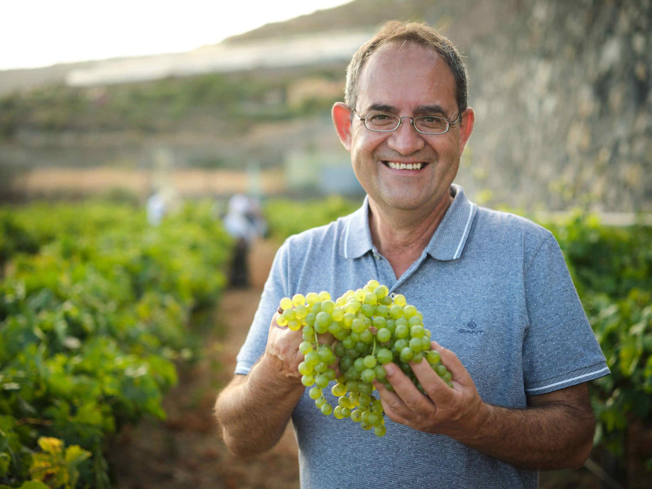 Juan Jesús Méndez nuevo presidente de la DOP Islas Canarias – Canary Wine 