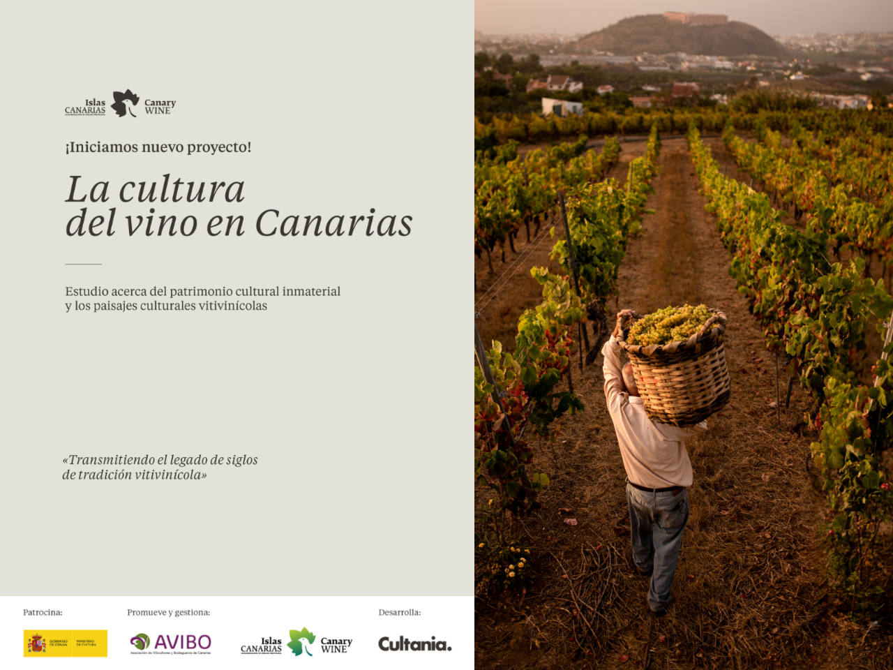 El Ministerio de Cultura concede a AVIBO una subvención para realizar un estudio sobre el patrimonio inmaterial vinculado a las tradiciones vitivinícolas canarias