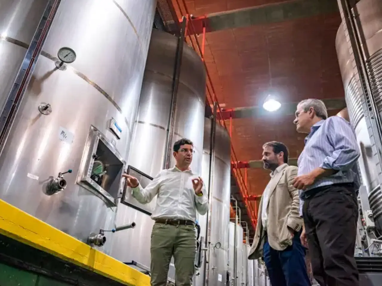 AVIBO aplaude la marcha del Cabildo de Tenerife de Bodegas Insulares y destaca que la Corporación cumple con lo que pactó con Europa evitando así sanciones