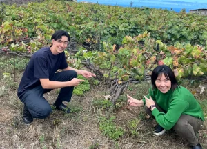 Misión Inversa Japón