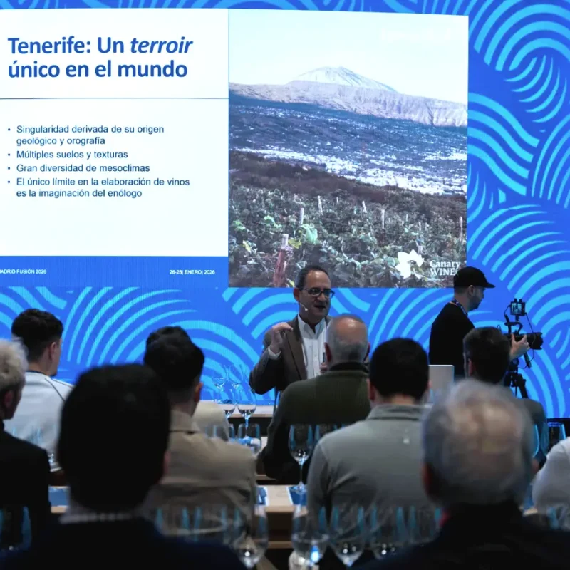 Madrid Fusión 2026. Canary Wine