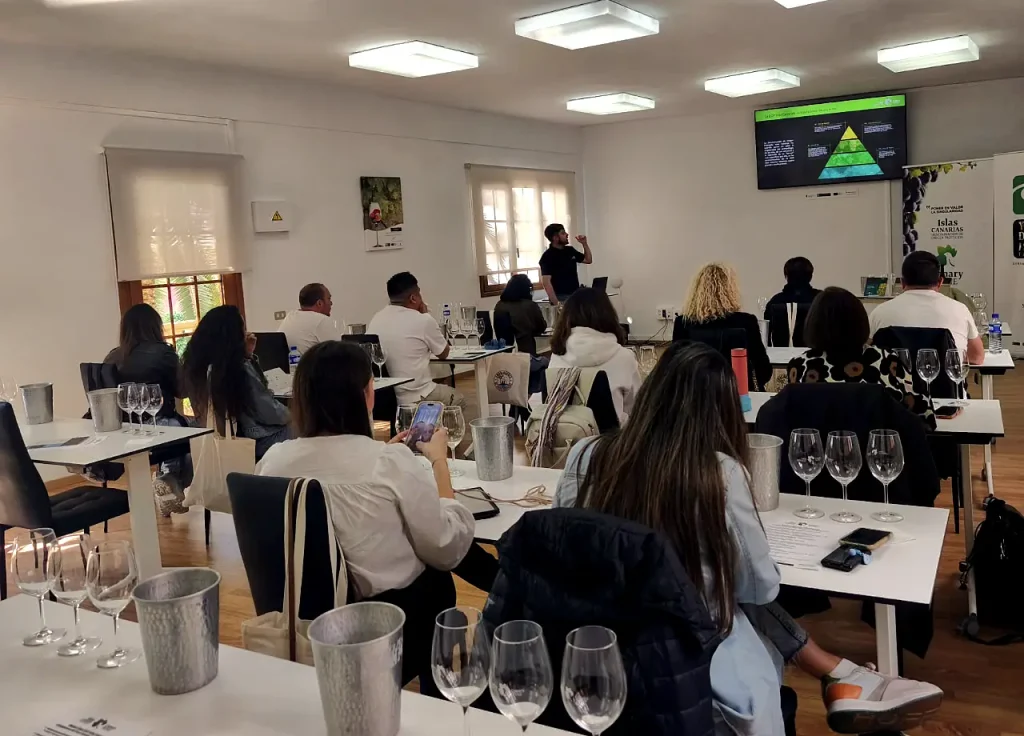 Embajadores Canary Wine