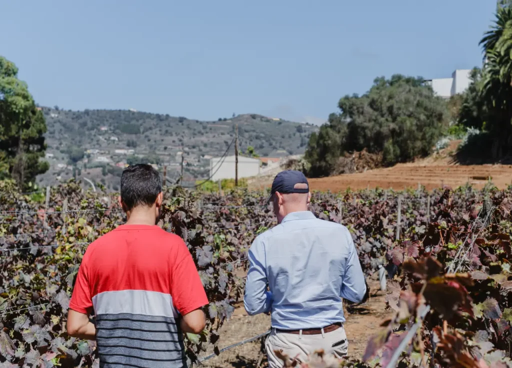 Fran Álvarez Bodega Finca Escudero